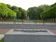 alignements d'arbres